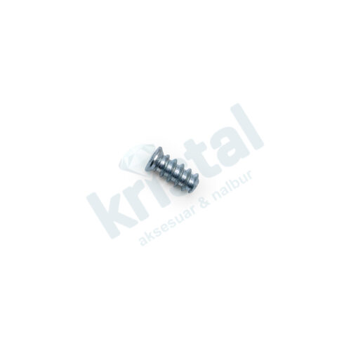 RAY VİDASI 13 mm-33603 - AYS